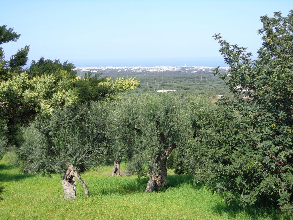 Alla Panoramica Monopoli Exteriör bild